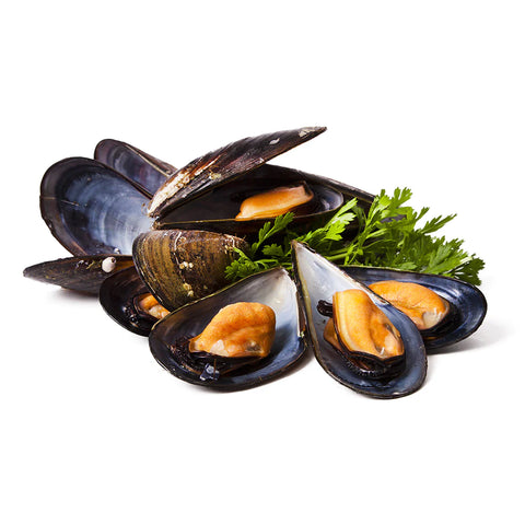 ZWARTE MOSSEL