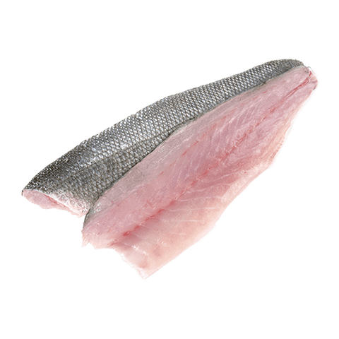 BRANZINO FILLET