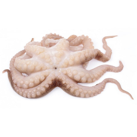 OCTOPUS WHOLE – DK Food Group