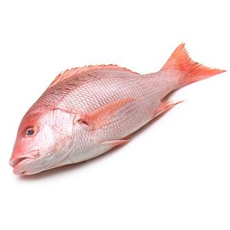 PARGO ROJO ENTERO