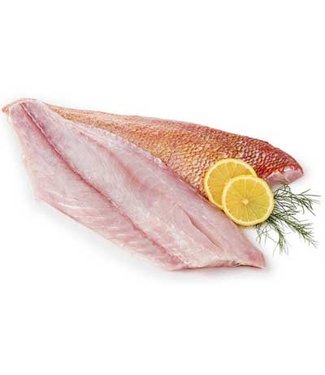 RED SNAPPER FILLET