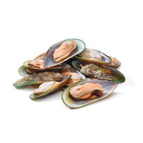 NEW ZEALAND GREEN MUSSEL